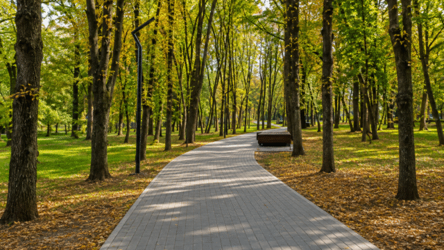park-imeni-iuriia-haharina-dnipro-02