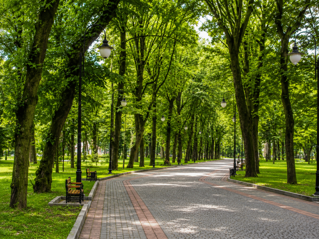 park-kultury-ta-vidpochynku-im-t-h-shevchenka-dnipro-01