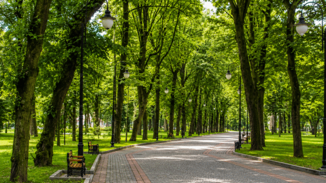 park-kultury-ta-vidpochynku-im-t-h-shevchenka-dnipro-01