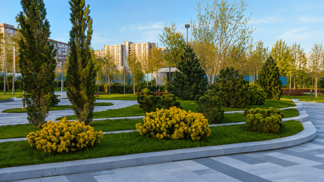 pryberezhnyi-skver-dnipro-01
